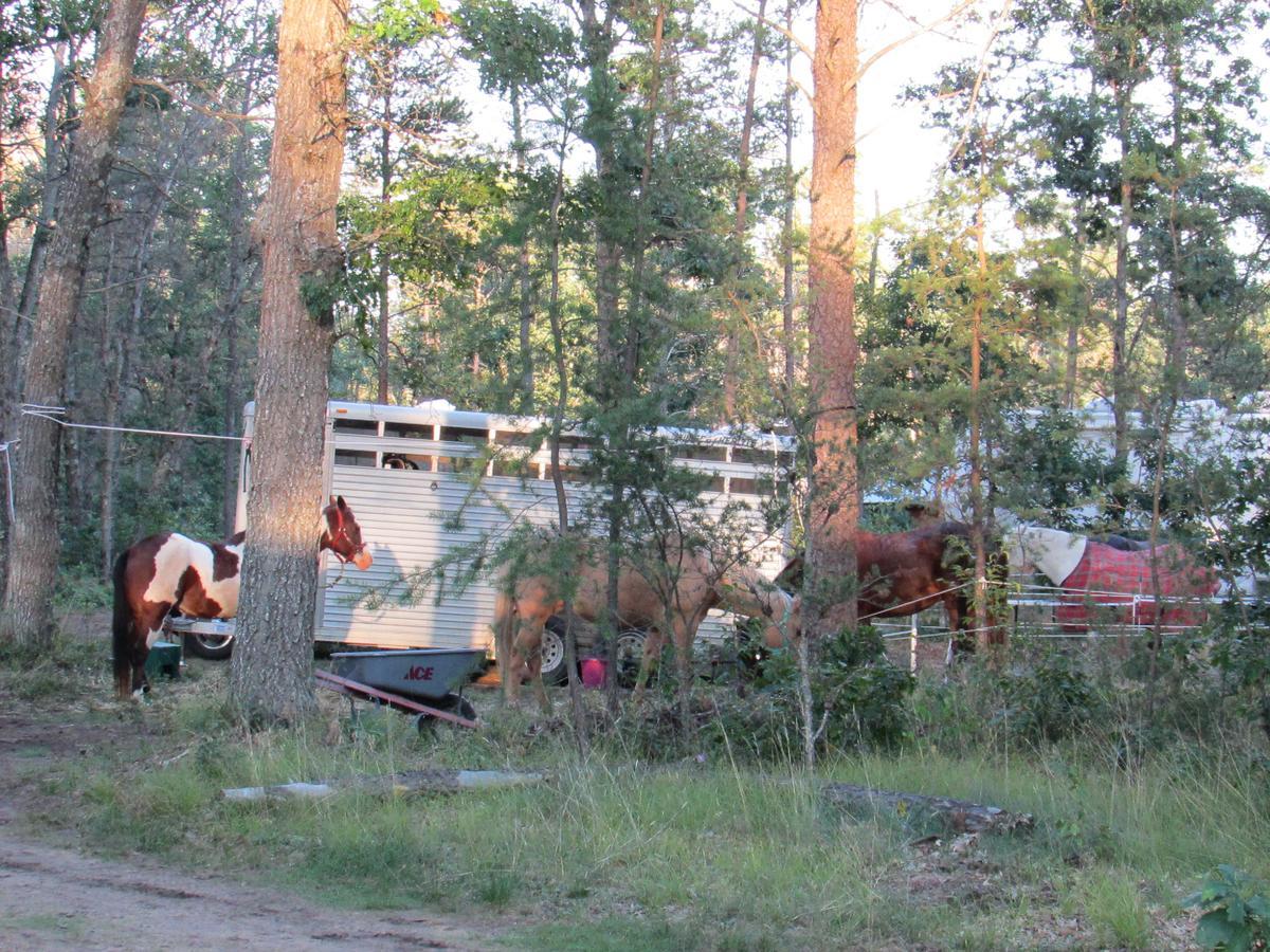 Best Bear Lodge & Campground Irons 외부 사진